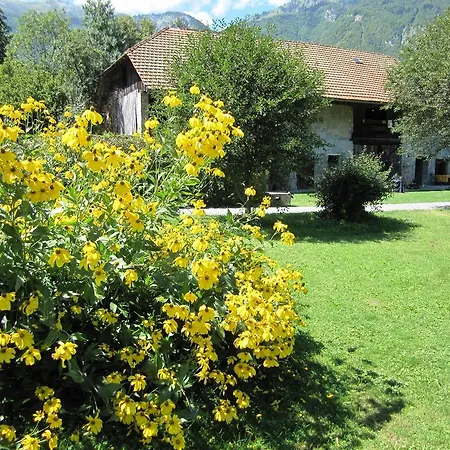 Des Sources D'arvey *